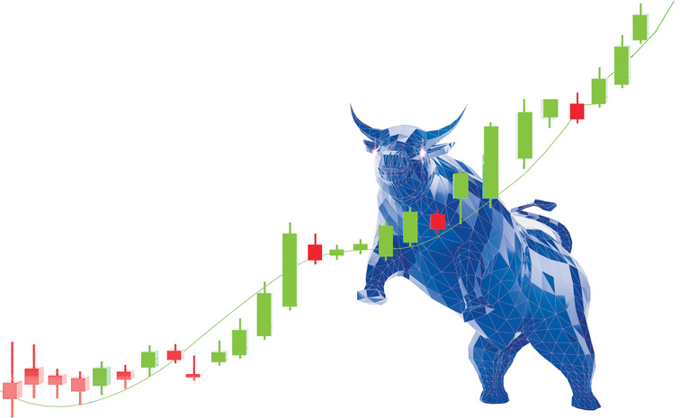 BU-BULL-1340229046-2.jpg