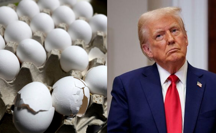donald_20trump_eggs.jpg