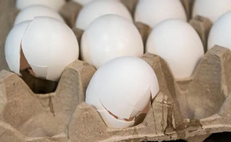 egg.jpg