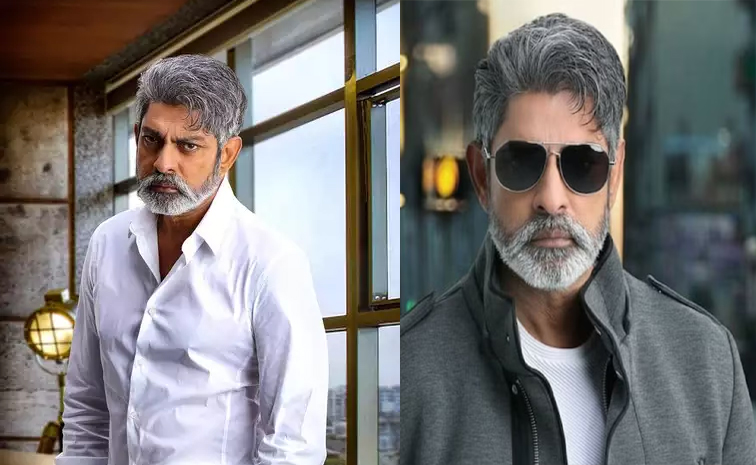 jaggu.jpg