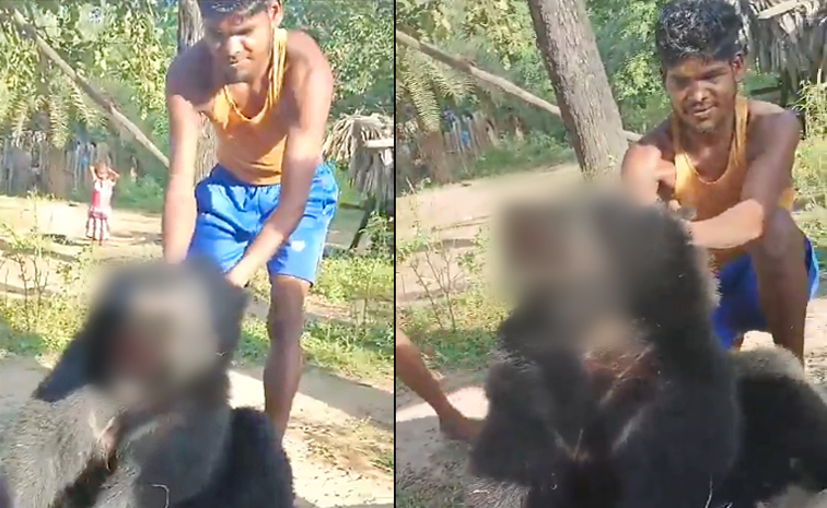 bears2.jpg
