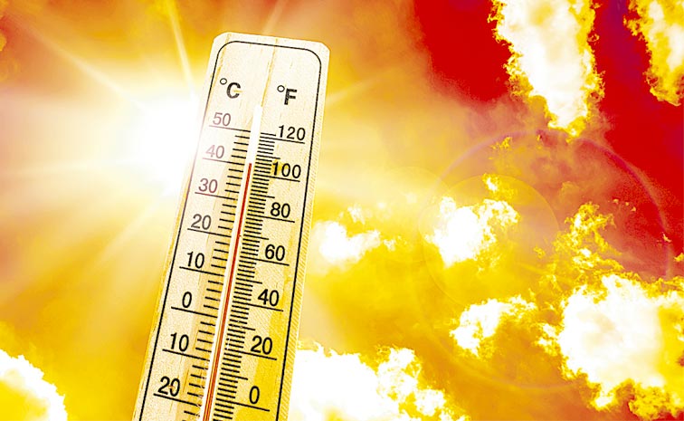SU-TEMp.jpg