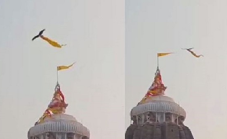JagannathTemplePuri-eagle.jpg