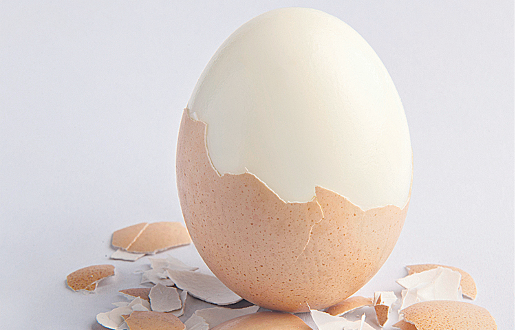 egg.jpg