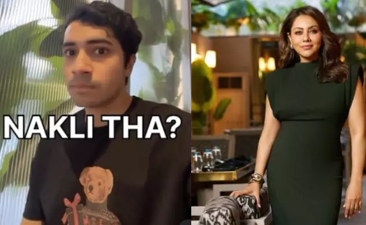 torii-fakepaneer.jpg