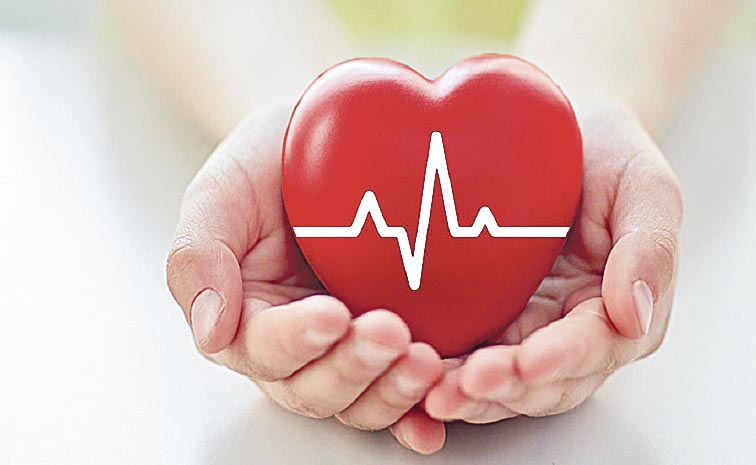 PULSE_HEART-HEALTHY-HABITS.jpg