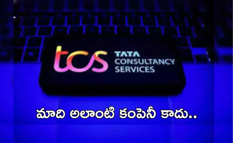 tcs.jpg