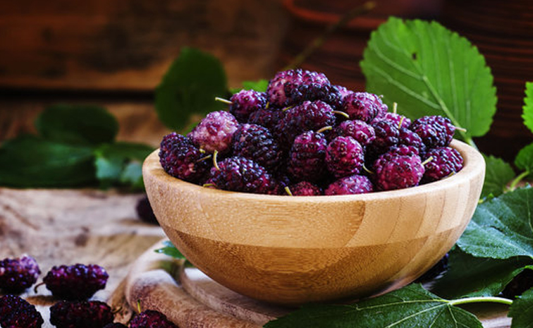 mulberry_20juice.jpg