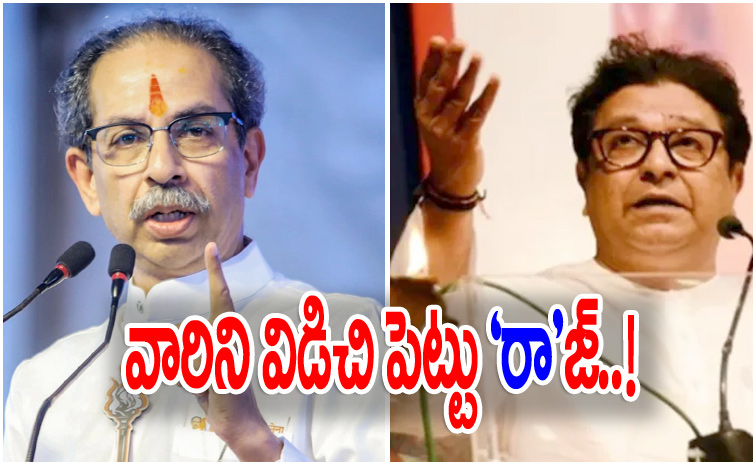 thackeray3.jpg