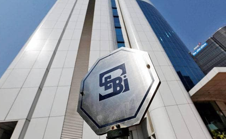 sebi.jpg