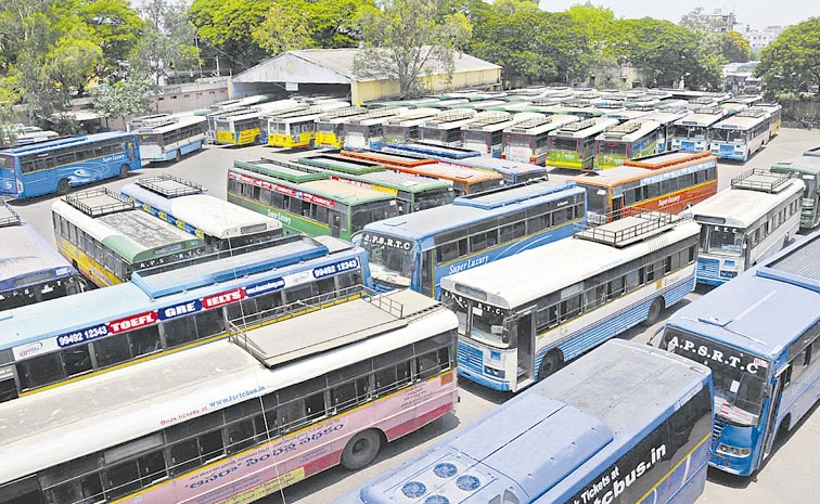 BUS.jpg