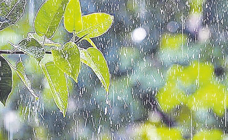 RAIN123.jpg