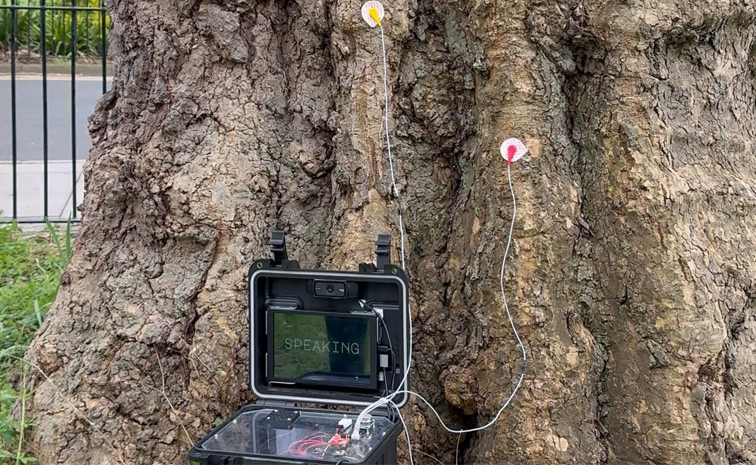 Talking_Tree_Latest.jpg