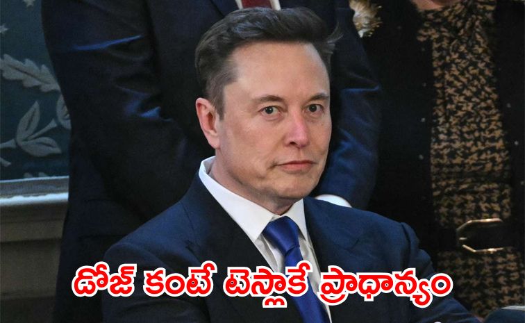 elon.jpg
