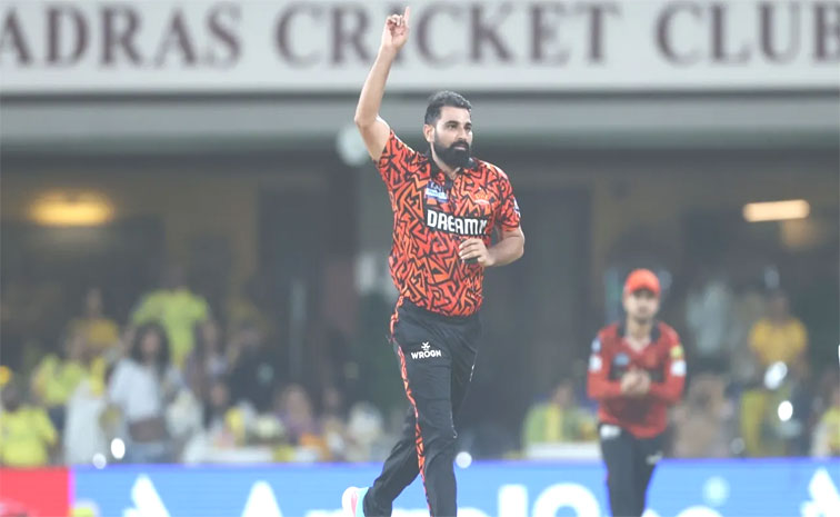 shami.jpg