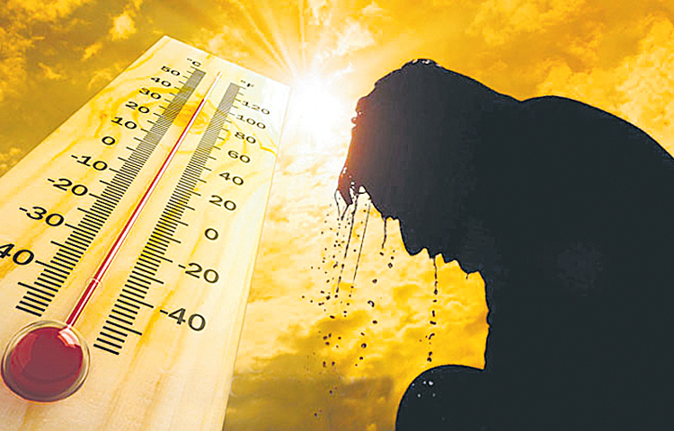 temp.jpg
