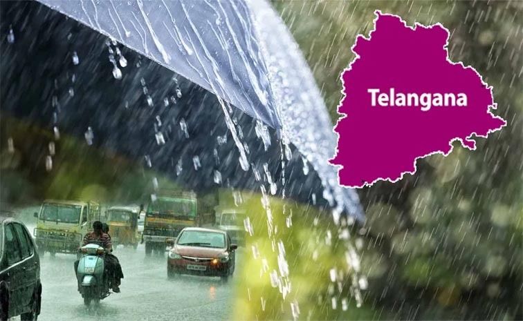 TS-RAins.jpg