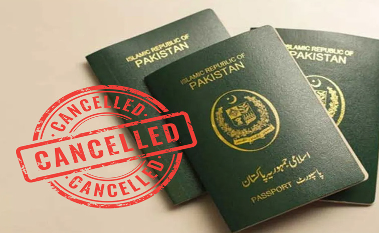 visa.jpg