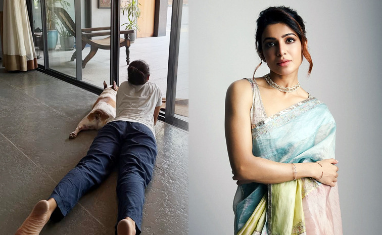 Samantha-Pet-Dog-Sobhita.jpg