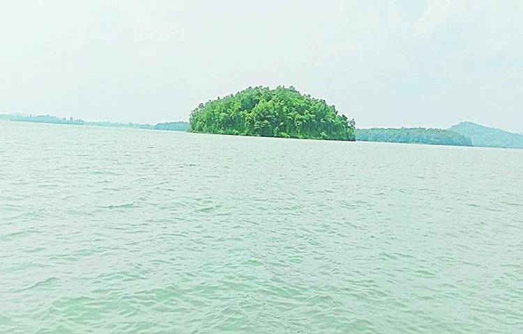 kinnerasani.jpg