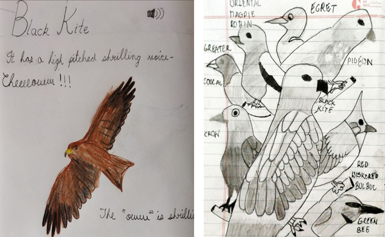 EARLYBIRDWORKSHOP.jpg