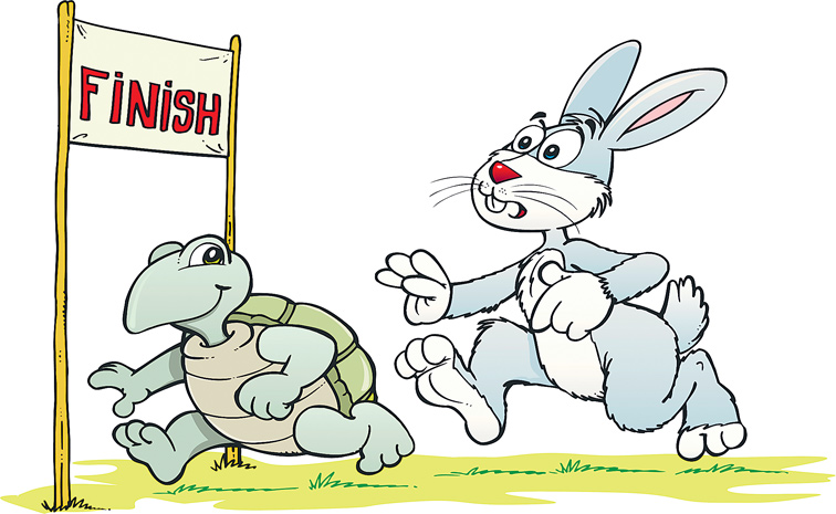 iStock-165632402-Rabbit.jpg