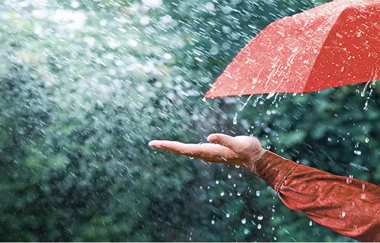 rain.jpg