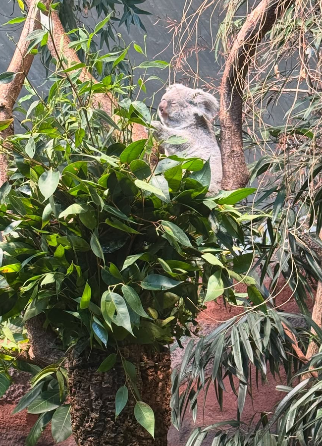 Kiara_20Advani3.jpg 4