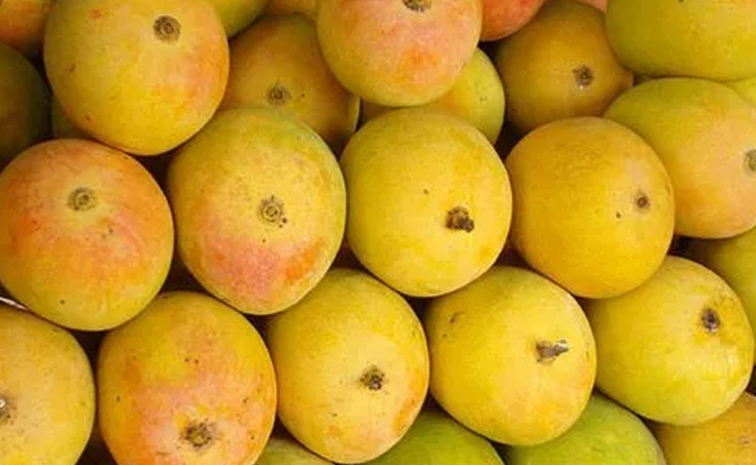reliance_mangoes.jpg