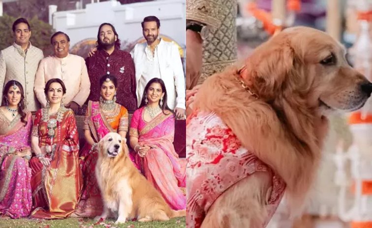 Ambani_petdog.jpg