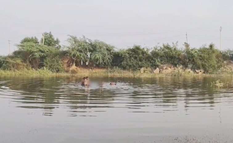 Lake1.jpg