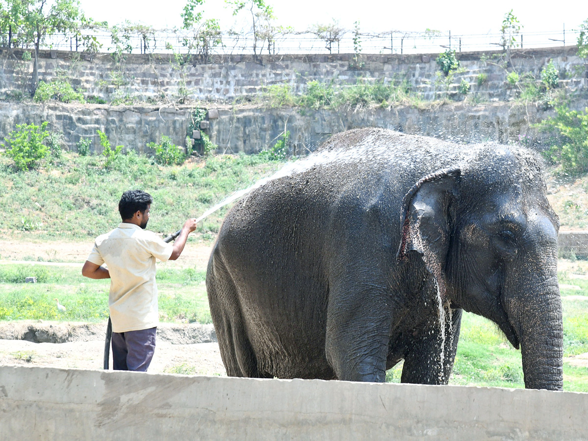 Tourists_20Throng_20To_20Nehru_20Zoological_20Park_20Photos_20_2825_29.jpg 25