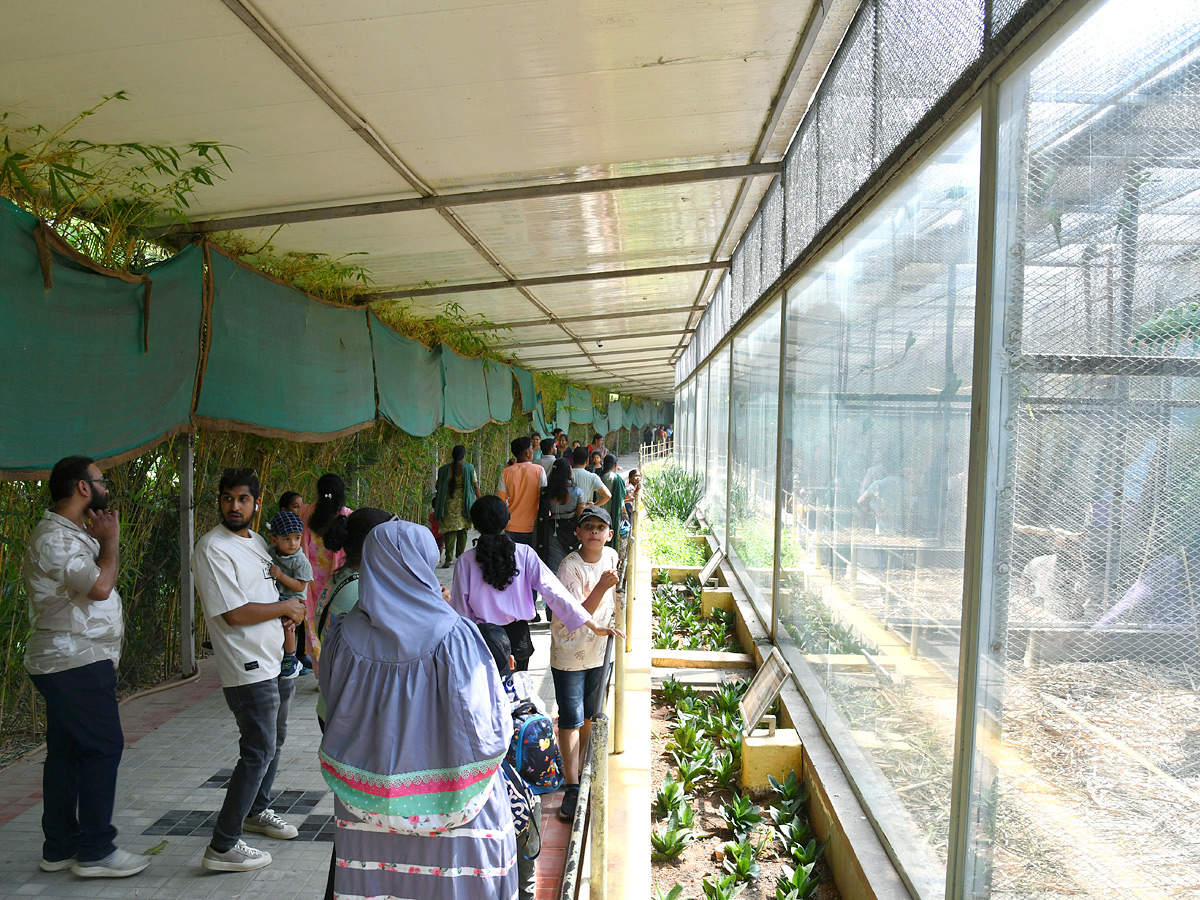 Tourists_20Throng_20To_20Nehru_20Zoological_20Park_20Photos_20_285_29.jpg 1
