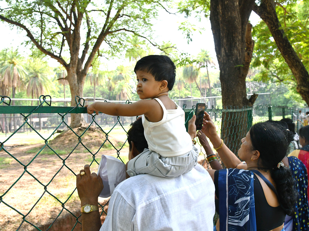 Tourists_20Throng_20To_20Nehru_20Zoological_20Park_20Photos_20_286_29.jpg 6