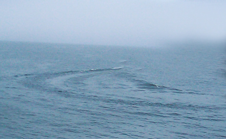 dam1.jpg
