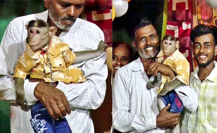 petmonkey.jpg