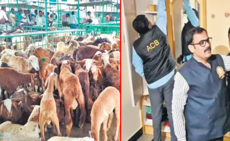 Telangana_20Sheep_20Distribution_20Scam.jpg