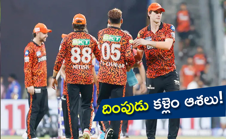 BCCI.jpg