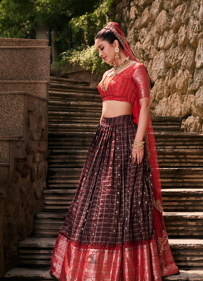 Heroine_20Nabha_20Natesh_20looks_20like_20a_20princess_20__20_2811_29.jpg 11