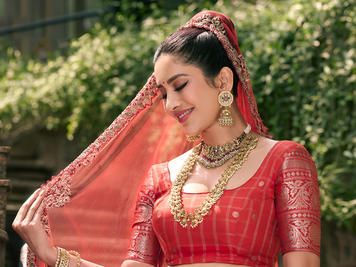 Heroine_20Nabha_20Natesh_20looks_20like_20a_20princess_20__20_281_29.jpg 1