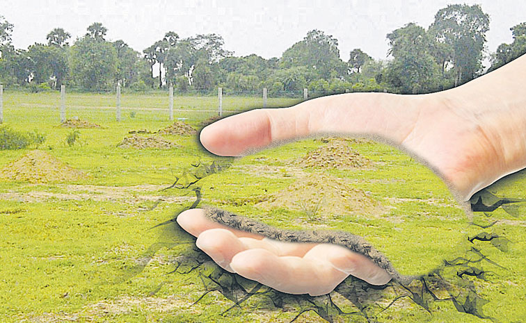 Land-Grabbing.jpg
