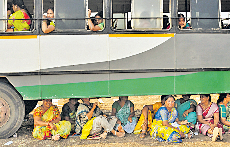 bus.jpg