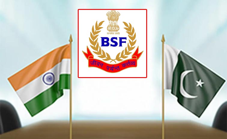 BSF.jpg