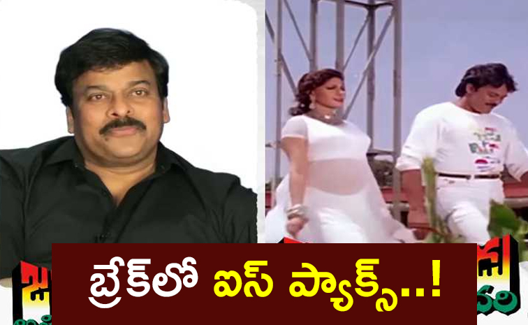 chiru1.jpg