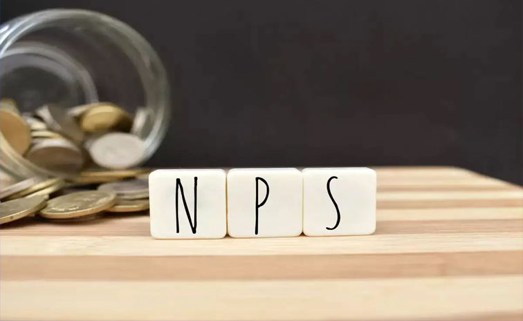 nps01.jpg