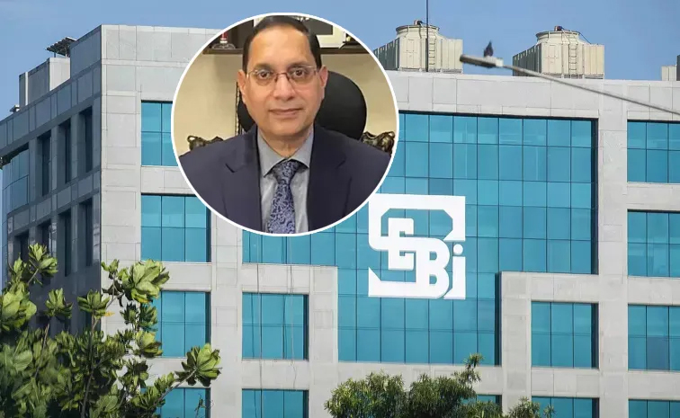 sebi01.jpg