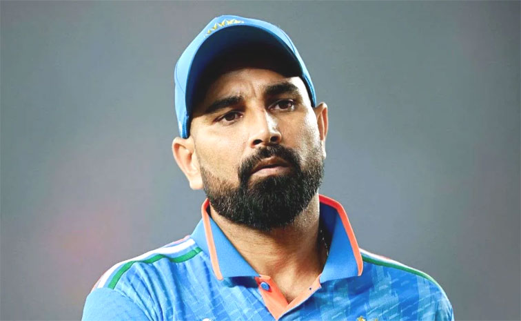 shami.jpg