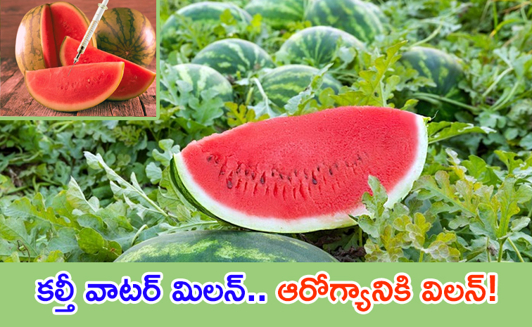 Watermelon.jpg
