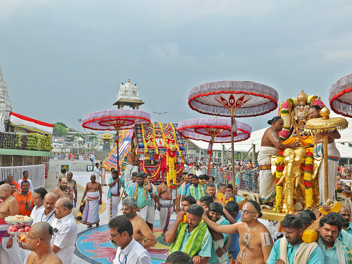 Sri_20Padmavathi_20Srinivasula_20Parinayotsavam_20Tirumala_20Photos__20_2814_29.jpg 14
