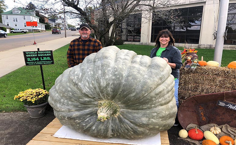 pumpkin.jpg